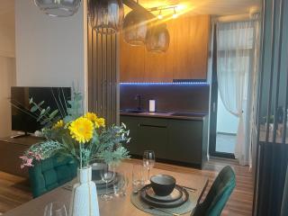 Elite XCity Timișoara - Apartament Premium - 3
