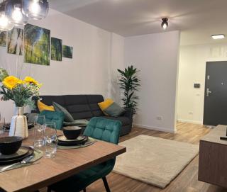 Elite XCity Timișoara - Apartament Premium - 1