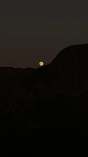 Shadow of Rum camp - 4