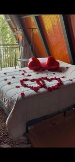 Chale cabana 2 linda vista na serra da Cantareira - 1