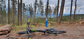 Apartament Leszczyńska 29 - cicho, blisko centrum, idealny na rower i narty - 8