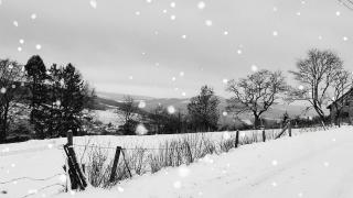 Le Clos du Cerf - Silence & nature - 8