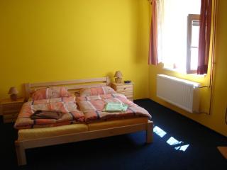 Šenk u Švejka - Ústí nad Labem - 9