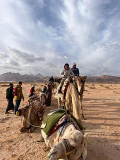 Madonna Rum camp bubbles & Jeep tours - 5