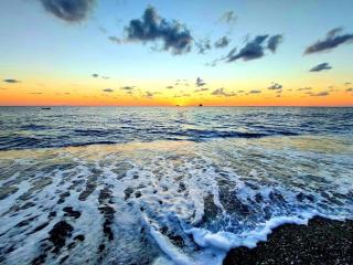 Una pineta sul mare - 0