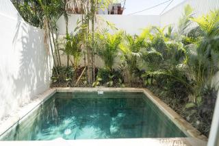 Well stocked, near Canggu - Balinese Rose Villa - 1