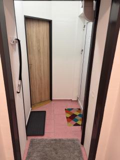 Apartmán na Hejtmánce u letiště v Mladé Boleslavi - 7