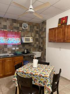 Departamento zona céntrica - 9