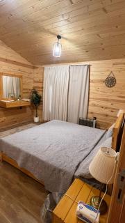 مزرعه بساتين اللوز - 3