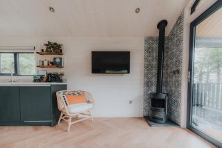 Briarfield Farm Stays - Coillte Cabin - 5