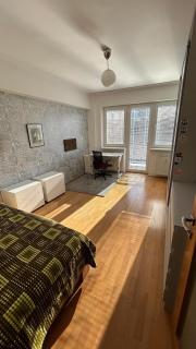 stylish apartment in the wider center - 1