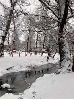 Bükkös Bird Apartman - 6