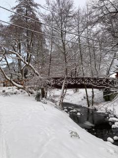 Bükkös Bird Apartman - 5