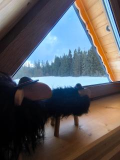 Domek Góralsko Gawra - 4