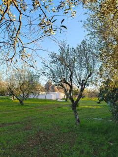 Trullollero UnPostoNelMondo - 8