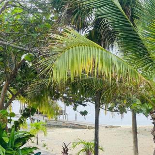 Milton 1 Br Quiet Beachfront Pool Dock - 7