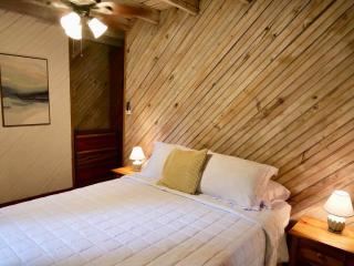 Sundancer 2 Br Home access pool beach dock - 1