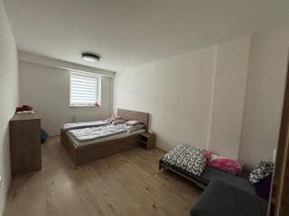 Wiesenthaler apartment - 6