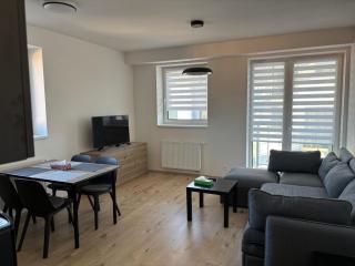 Wiesenthaler apartment - 5