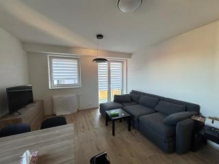 Wiesenthaler apartment - 3