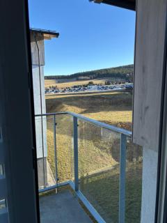 Wiesenthaler apartment - 2