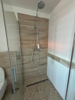 Wiesenthaler apartment - 1