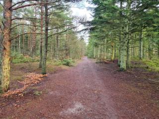 8 person holiday home in Ålbæk - 8