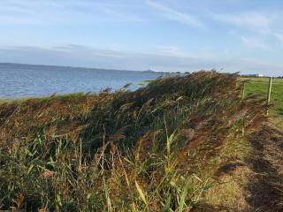 Summer house with pool, sauna - 3