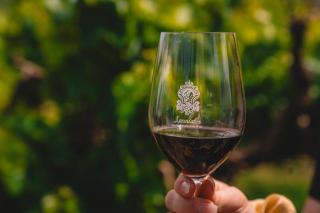 Tranquil 3-bedroom farmhouse in lovely McLaren Vale with AC - 8