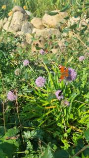 Domki nad morzem Lublewo21 obok Białogóry - 5
