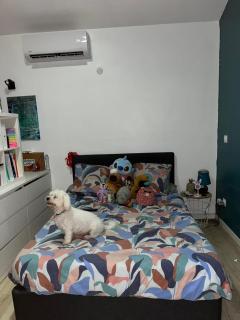 Bungalow Ti Paradis - 5