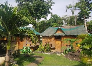 Nirvana Resort Moalboal - 5