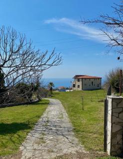 Villa 11 Infinity pool & garden - 2