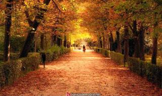 HABITACIÓN Parque El Retiro PISO COMPARTIDO - 1