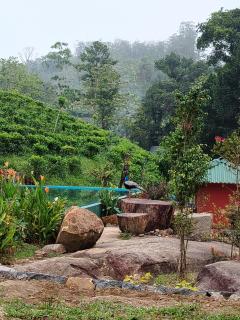 Cinnamon Leaf Leisure Resort -  - 8