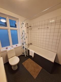 Historic House Downtown Reykjavík - 3