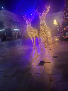 Marlin Monroe City Home and Spa 24h - 9