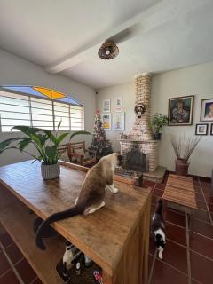 Casa de Campo - Sítio SRC - 2