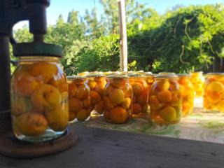 Cabañas Finca Don José - 9