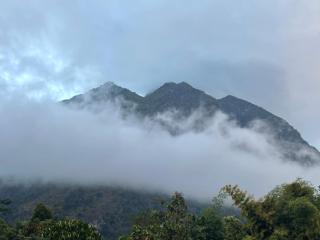 Phoutthasack Guesthouse - 8