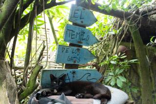 El cuento del gainford - 6