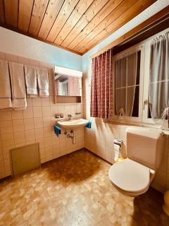 WEF- Alpine Apartment - 4