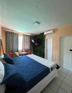 Casa Refúgio dos pássaros - 9