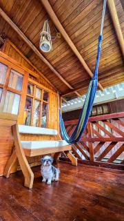 Mindo GlamBird Glamping & Lodge - 9