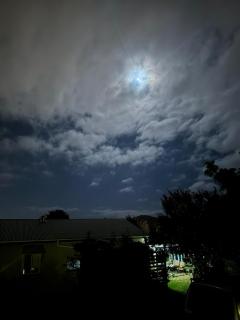 Amiens Cottage. Queenslander, charming, central. - 8