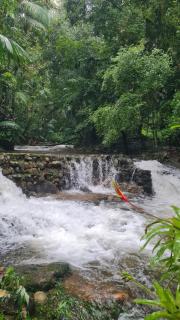 Casa Amarela Doce Riacho - 1