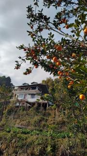 Queen's Nest Homestay - 9