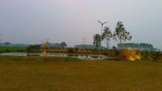 The Countryman A-Frames - 5