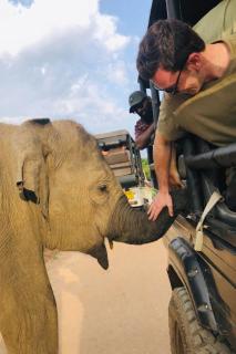 Green cabin mihintale - 6