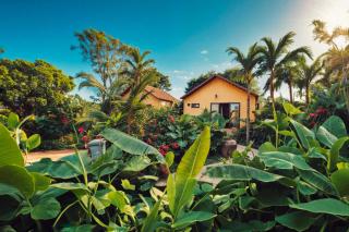 Hidden Valley Eco Retreat Trang An - 9